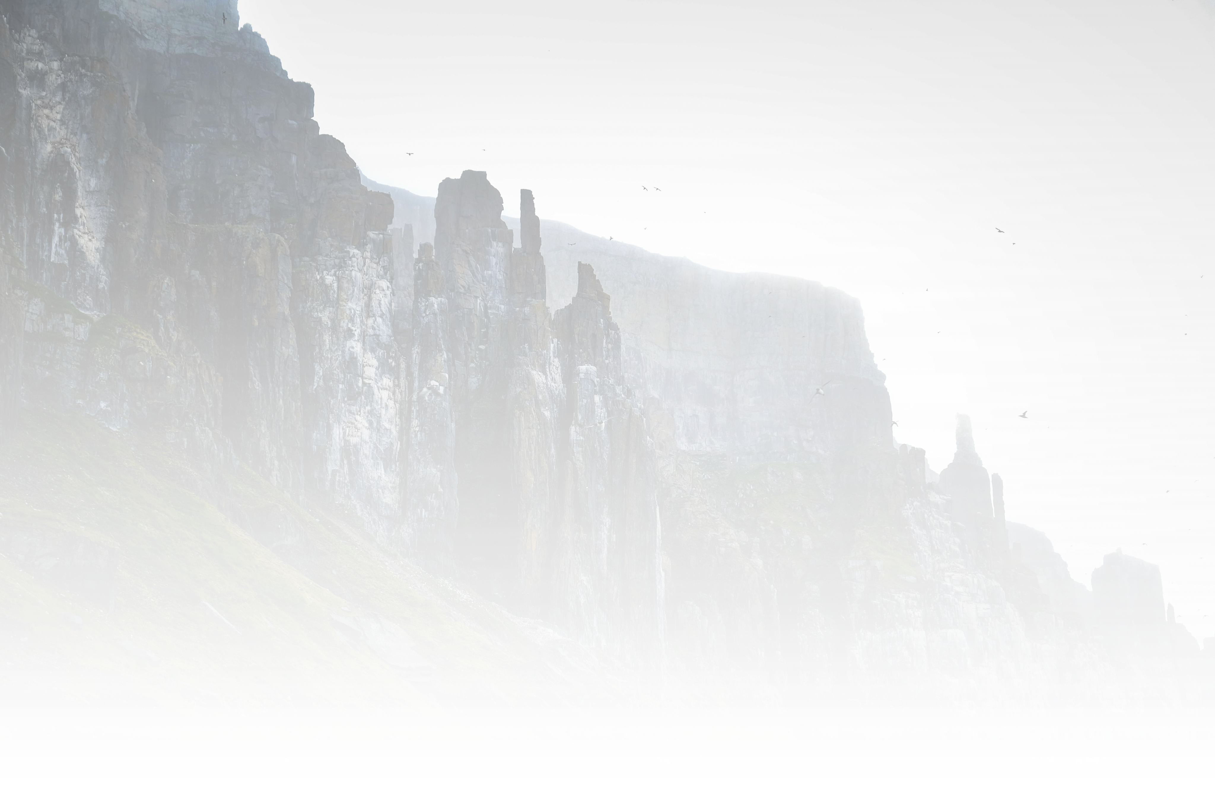 Background